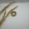 Ani Gold Ring