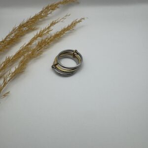 Ani Silver Ring